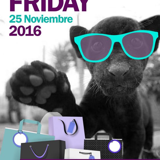 Black friday 2016 asociacion de comerciantes